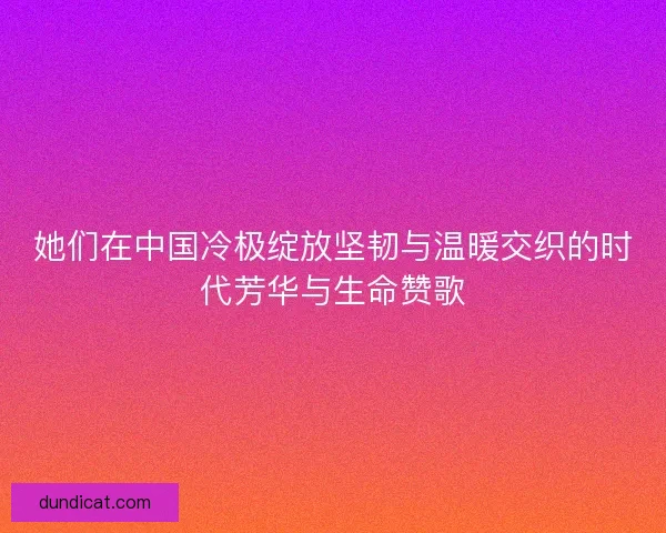 她们在中国冷极绽放坚韧与温暖交织的时代芳华与生命赞歌